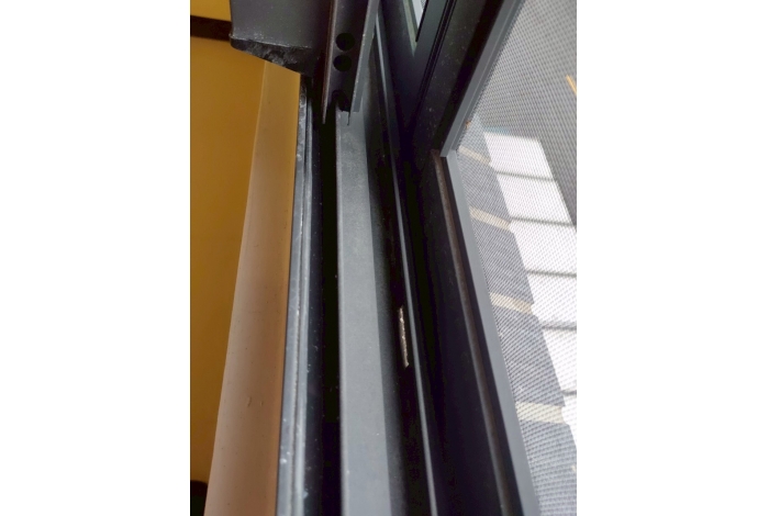 Thumb-1