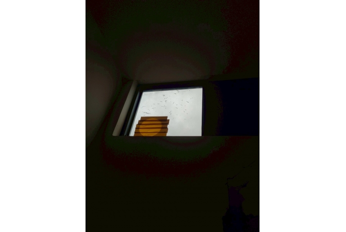 Thumb-1